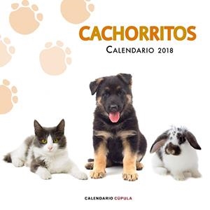 CALENDARIO CACHORRITOS 2018 | 9788448023478 | AA. VV. | Llibres Parcir | Librería Parcir | Librería online de Manresa | Comprar libros en catalán y castellano online