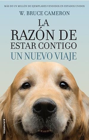 LA RAZóN DE ESTAR CONTIGO. UN NUEVO VIAJE | 9788416867912 | CAMERON, W. BRUCE | Llibres Parcir | Llibreria Parcir | Llibreria online de Manresa | Comprar llibres en català i castellà online