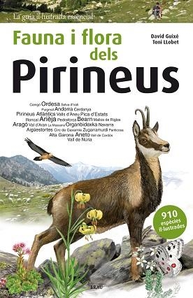 FAUNA I FLORA DELS PIRINEUS | 9788415885559 | GUIXé COROMINES, DAVID | Llibres Parcir | Librería Parcir | Librería online de Manresa | Comprar libros en catalán y castellano online