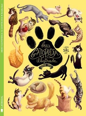 BREU GATOPèDIA IL·LUSTRADA | 9788494469886 | ZARO SOTO, ZORAIDA | Llibres Parcir | Librería Parcir | Librería online de Manresa | Comprar libros en catalán y castellano online