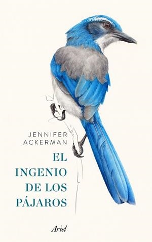 EL INGENIO DE LOS PáJAROS | 9788434425262 | ACKERMAN, JENNIFER | Llibres Parcir | Llibreria Parcir | Llibreria online de Manresa | Comprar llibres en català i castellà online