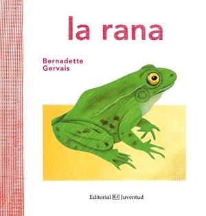 LA RANA | 9788426144584 | GERVAIS, BERNADETTE | Llibres Parcir | Llibreria Parcir | Llibreria online de Manresa | Comprar llibres en català i castellà online