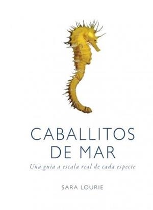 CABALLITOS DE MAR | 9788428216807 | Llibres Parcir | Librería Parcir | Librería online de Manresa | Comprar libros en catalán y castellano online