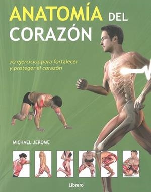 ANATOMIA DEL CORAZON | 9789089989802 | JEROME, MICHAEL | Llibres Parcir | Librería Parcir | Librería online de Manresa | Comprar libros en catalán y castellano online