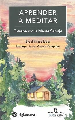 APRENDER A MEDITAR- ENTRENANDO LA MENTE SALVAJE | 9788416574568 | AA.VV. | Llibres Parcir | Librería Parcir | Librería online de Manresa | Comprar libros en catalán y castellano online