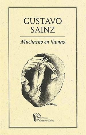 MUCHACHO EN LLAMAS | PODI27937 | SAINZ  GUSTAVO | Llibres Parcir | Librería Parcir | Librería online de Manresa | Comprar libros en catalán y castellano online