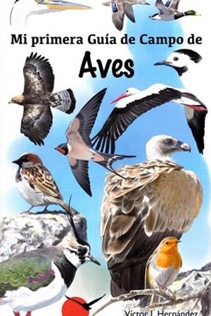 MI PRIMERA GUIA DE CAMPO DE AVES | 9788416702404 | OJEA ANTONIO | Llibres Parcir | Llibreria Parcir | Llibreria online de Manresa | Comprar llibres en català i castellà online