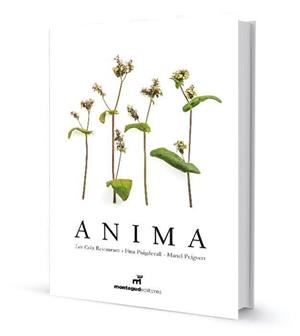 ANIMA | 9788472121690 | PUIGDEVALL NOGAREDA, FINA | Llibres Parcir | Librería Parcir | Librería online de Manresa | Comprar libros en catalán y castellano online