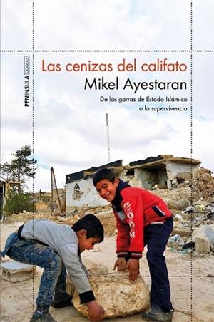LAS CENIZAS DEL CALIFATO | 9788499427065 | AYESTARAN, MIKEL | Llibres Parcir | Llibreria Parcir | Llibreria online de Manresa | Comprar llibres en català i castellà online