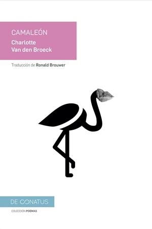 CAMALEÓN | 9788417375065 | VAN DEN BROECK, CHARLOTTE | Llibres Parcir | Llibreria Parcir | Llibreria online de Manresa | Comprar llibres en català i castellà online