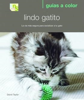 LINDO GATITO | 9788493662639 | TAYLOR, DAVID | Llibres Parcir | Llibreria Parcir | Llibreria online de Manresa | Comprar llibres en català i castellà online