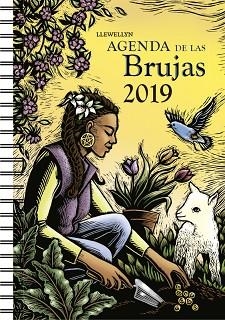AGENDA 2019 DE LAS BRUJAS | 9788491113652 | LLEWELLYN | Llibres Parcir | Librería Parcir | Librería online de Manresa | Comprar libros en catalán y castellano online