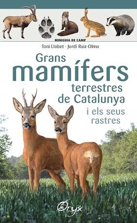 GRANS MAMÍFERS TERRESTRES DE CATALUNYA I ELS SEUS RASTRES | 9788490347881 | LLOBET FRANÇOIS , TONI/RUIZ-OLMO, JORDI | Llibres Parcir | Llibreria Parcir | Llibreria online de Manresa | Comprar llibres en català i castellà online