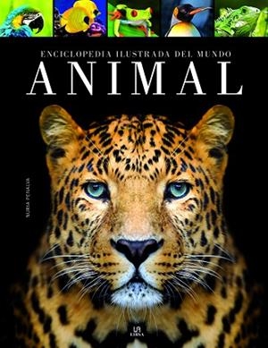 ENCICLOPEDIA ILUSTRADA DEL MUNDO ANIMAL | 9788466238045 | PENALVA COMENDADOR, NURIA | Llibres Parcir | Librería Parcir | Librería online de Manresa | Comprar libros en catalán y castellano online