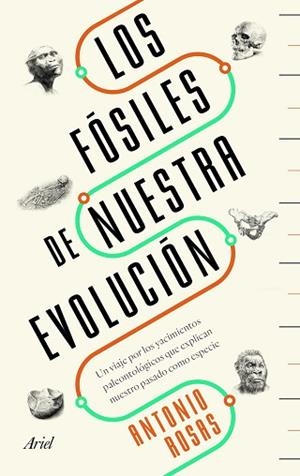 LOS FÓSILES DE NUESTRA EVOLUCIÓN | 9788434429642 | ROSAS, ANTONIO | Llibres Parcir | Llibreria Parcir | Llibreria online de Manresa | Comprar llibres en català i castellà online