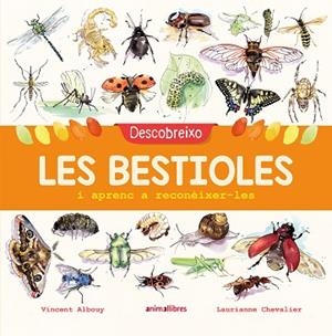 DESCOBREIXO LES BESTIOLES I APRENC A RECONÈIXER-LES | 9788417599201 | ALBOUY, VINCENT | Llibres Parcir | Llibreria Parcir | Llibreria online de Manresa | Comprar llibres en català i castellà online