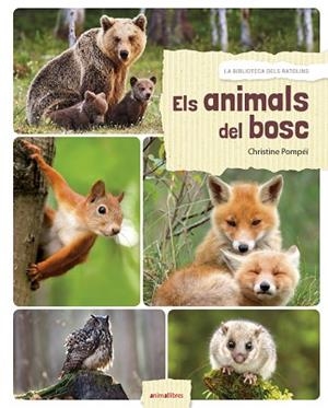 ELS ANIMALS DEL BOSC | 9788417599027 | ROMATIF, ALEXIA | Llibres Parcir | Llibreria Parcir | Llibreria online de Manresa | Comprar llibres en català i castellà online