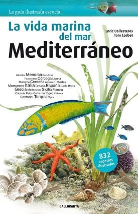 LA VIDA MARINA DEL MAR MEDITERRÁNEO | 9788415885269 | BALLESTEROS SAGARRA, ENRIC | Llibres Parcir | Llibreria Parcir | Llibreria online de Manresa | Comprar llibres en català i castellà online