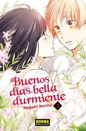 BUENOS DÍAS, BELLA DURMIENTE 3 | 9788467935387 | MEGUMI MORINO | Llibres Parcir | Librería Parcir | Librería online de Manresa | Comprar libros en catalán y castellano online