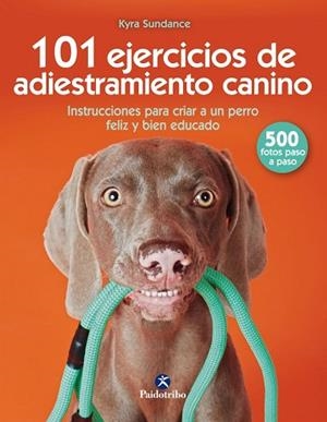 101 EJERCICIOS DE ADIESTRAMIENTO CANINO | 9788499107332 | SUNDANCE, KYRA | Llibres Parcir | Llibreria Parcir | Llibreria online de Manresa | Comprar llibres en català i castellà online