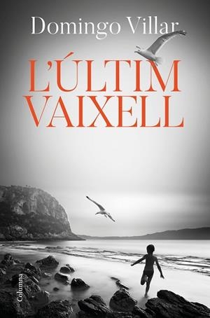 L'ÚLTIM VAIXELL | 9788466425490 | VILLAR, DOMINGO | Llibres Parcir | Llibreria Parcir | Llibreria online de Manresa | Comprar llibres en català i castellà online