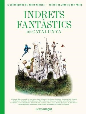 INDRETS FANTÀSTICS DE CATALUNYA | 9788417188986 | PRATS PIJOAN, JOAN DE DÉU/PADILLA CLIMENT, MARIA | Llibres Parcir | Librería Parcir | Librería online de Manresa | Comprar libros en catalán y castellano online