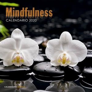 CALENDARIO MINDFULNESS 2020 | 9788448026110 | AA. VV. | Llibres Parcir | Llibreria Parcir | Llibreria online de Manresa | Comprar llibres en català i castellà online