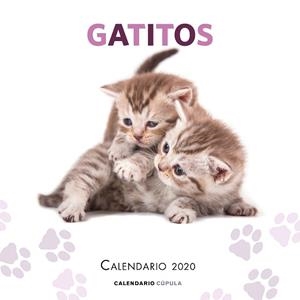 CALENDARIO GATITOS 2020 | 9788448026165 | AA. VV. | Llibres Parcir | Llibreria Parcir | Llibreria online de Manresa | Comprar llibres en català i castellà online