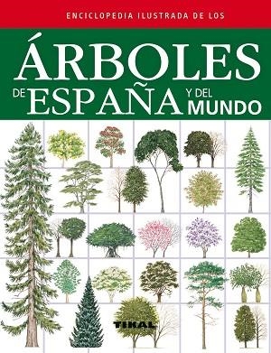 ÁRBOLES DE ESPAÑA Y DEL MUNDO | 9788499281841 | RUSSELL/TONY/CUTLER/CATHERINE/WALTERS/MARTIN | Llibres Parcir | Librería Parcir | Librería online de Manresa | Comprar libros en catalán y castellano online