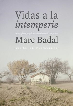 VIDAS A LA INTEMPERIE | 9788415862987 | BADAL PIJOAN, MARC | Llibres Parcir | Librería Parcir | Librería online de Manresa | Comprar libros en catalán y castellano online