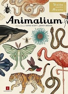 ANIMALIUM | 9788415979463 | SCOTT, KATIE/BROOM, JENNY | Llibres Parcir | Librería Parcir | Librería online de Manresa | Comprar libros en catalán y castellano online