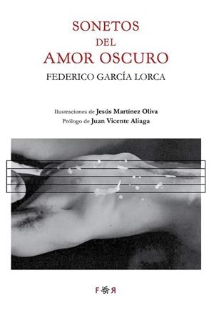 SONETOS DEL AMOR OSCURO | 9788494601859 | GARCÍA LORCA, FEDERICO | Llibres Parcir | Llibreria Parcir | Llibreria online de Manresa | Comprar llibres en català i castellà online