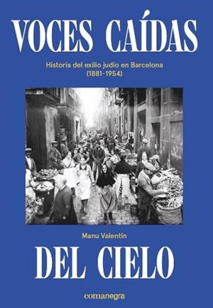 VOCES CAÍDAS DEL CIELO | 9788418022036 | VALENTÍN, MANU | Llibres Parcir | Llibreria Parcir | Llibreria online de Manresa | Comprar llibres en català i castellà online