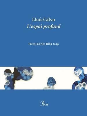 L'ESPAI PROFUND | 9788475888248 | CALVO, LLUÍS | Llibres Parcir | Librería Parcir | Librería online de Manresa | Comprar libros en catalán y castellano online