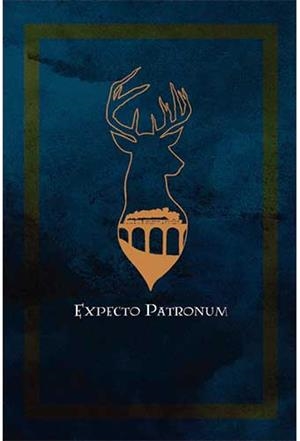 HARRY POTTER - SPELLS (NOTEBOOK) | 9788417936600 | GUNIS MEDIA | Llibres Parcir | Librería Parcir | Librería online de Manresa | Comprar libros en catalán y castellano online