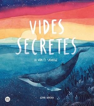 VIDES SECRETES | 9788491379638 | CAPDEVILA, GEMMA | Llibres Parcir | Llibreria Parcir | Llibreria online de Manresa | Comprar llibres en català i castellà online
