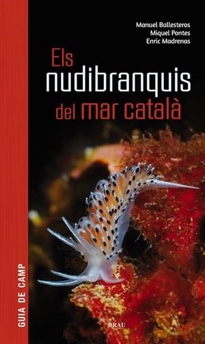 ELS NUDIBRANQUIS DEL MAR CATALÀ | 9788415885924 | BALLESTEROS VÁZQUEZ, MANUEL/PONTES GARCIA, MIQUEL/MADRENAS TOMÀS, ENRIC | Llibres Parcir | Llibreria Parcir | Llibreria online de Manresa | Comprar llibres en català i castellà online