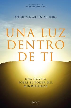UNA LUZ DENTRO DE TI | 9788408223719 | MARTÍN ASUERO, ANDRÉS | Llibres Parcir | Librería Parcir | Librería online de Manresa | Comprar libros en catalán y castellano online