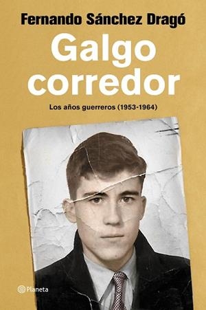 GALGO CORREDOR | 9788408223337 | SÁNCHEZ DRAGÓ, FERNANDO | Llibres Parcir | Librería Parcir | Librería online de Manresa | Comprar libros en catalán y castellano online
