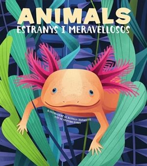 ANIMALS EXTRANYS I MERAVELLOSOS (VVKIDS) | 9788468270685 | BANFI, CRISTINA | Llibres Parcir | Llibreria Parcir | Llibreria online de Manresa | Comprar llibres en català i castellà online