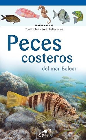 PECES COSTEROS DEL MAR BALEAR | 9788490349588 | LLOBET FRANÇOIS, TONI / BALLESTEROS SAGARRA, ENRIC | Llibres Parcir | Llibreria Parcir | Llibreria online de Manresa | Comprar llibres en català i castellà online