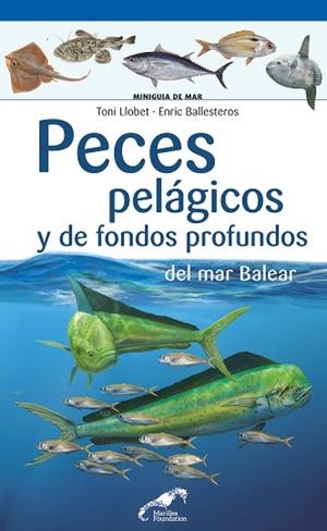 PECES PELÁGICOS Y DE FONDOS PROFUNDOS DEL MAR BALEAR | 9788490349571 | LLOBET FRANÇOIS, TONI / BALLESTEROS SAGARRA, ENRIC | Llibres Parcir | Llibreria Parcir | Llibreria online de Manresa | Comprar llibres en català i castellà online