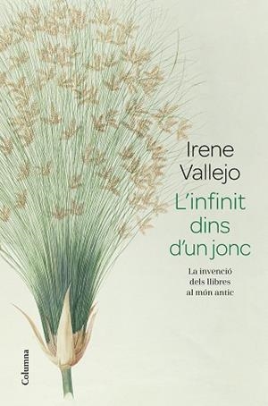 L'INFINIT DINS D'UN JONC | 9788466426947 | VALLEJO, IRENE | Llibres Parcir | Librería Parcir | Librería online de Manresa | Comprar libros en catalán y castellano online