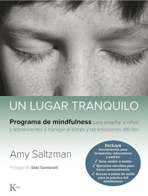 UN LUGAR TRANQUILO | 9788499887562 | SALTZMAN, AMY | Llibres Parcir | Llibreria Parcir | Llibreria online de Manresa | Comprar llibres en català i castellà online
