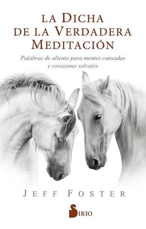 LA DICHA DE LA VERDADERA MEDITACIÓN | 9788418000522 | FOSTER, JEFF | Llibres Parcir | Llibreria Parcir | Llibreria online de Manresa | Comprar llibres en català i castellà online