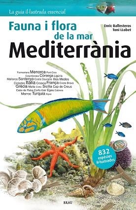 FLORA I FAUNA DE LA MAR MEDITERRÀNIA | 9788415885979 | BALLESTEROS SAGARRA, ENRIC | Llibres Parcir | Llibreria Parcir | Llibreria online de Manresa | Comprar llibres en català i castellà online
