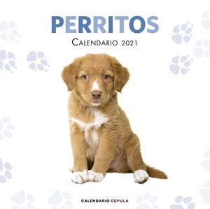 CALENDARIO PERRITOS 2021 | 9788448027766 | AA. VV. | Llibres Parcir | Llibreria Parcir | Llibreria online de Manresa | Comprar llibres en català i castellà online