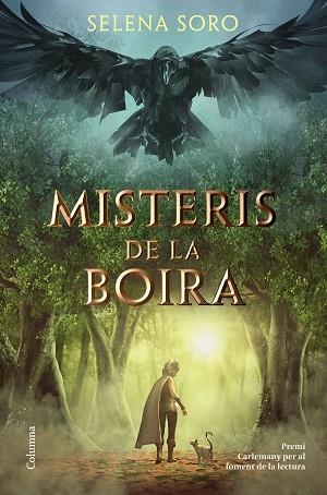 MISTERIS DE LA BOIRA | 9788466426619 | SORO, SELENA | Llibres Parcir | Llibreria Parcir | Llibreria online de Manresa | Comprar llibres en català i castellà online