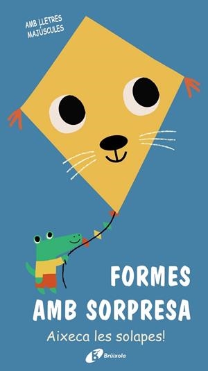 FORMES AMB SORPRESA | 9788499063690 | VARIOS AUTORES | Llibres Parcir | Librería Parcir | Librería online de Manresa | Comprar libros en catalán y castellano online
