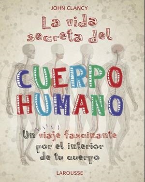 LA VIDA SECRETA DEL CUERPO HUMANO | 9788418100468 | CLANCY, JOHN | Llibres Parcir | Librería Parcir | Librería online de Manresa | Comprar libros en catalán y castellano online